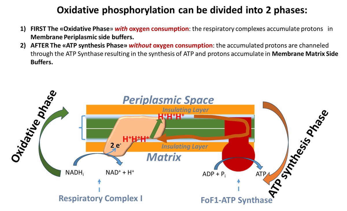 Slide from Berlin Conference.jpg
